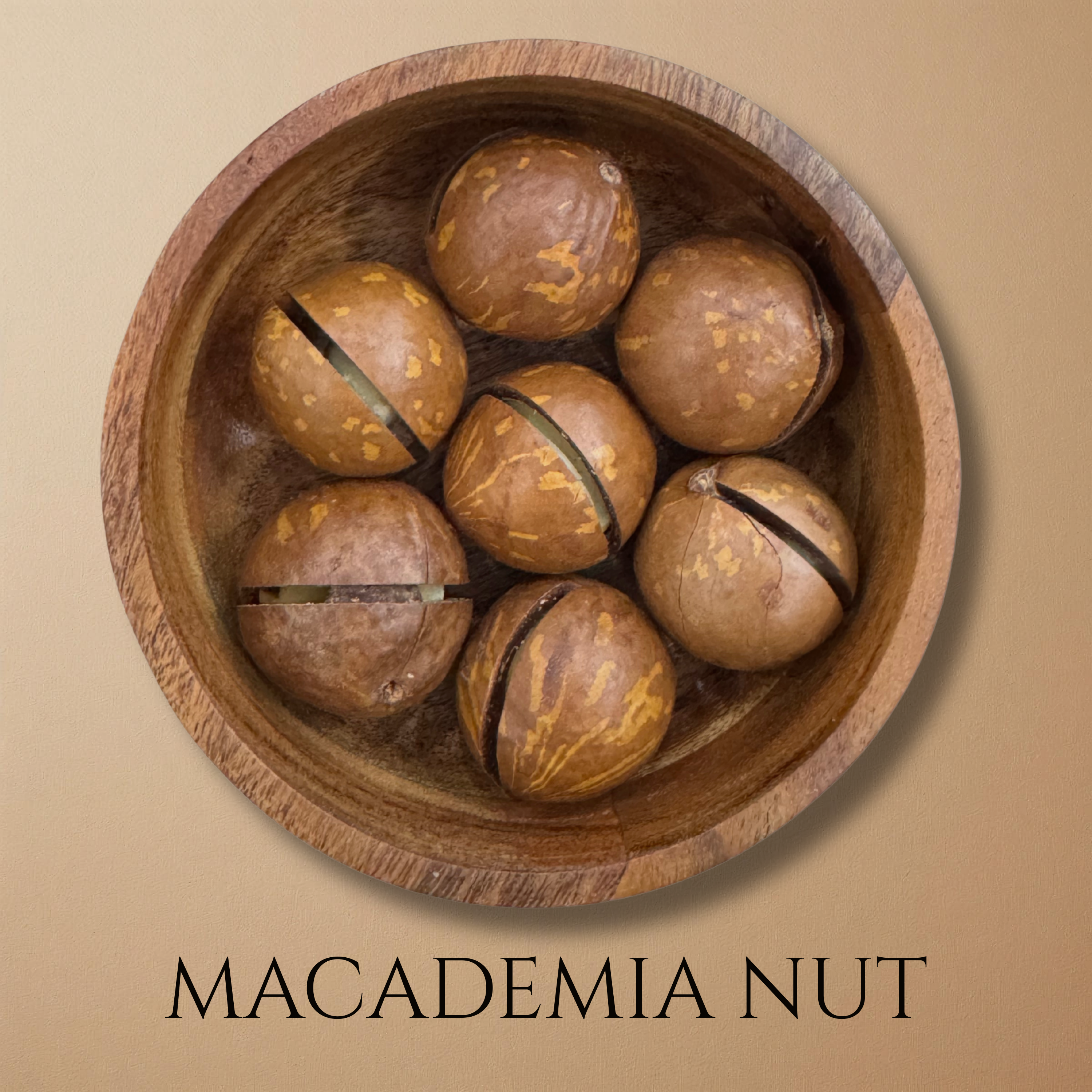 Macadamia Nuts