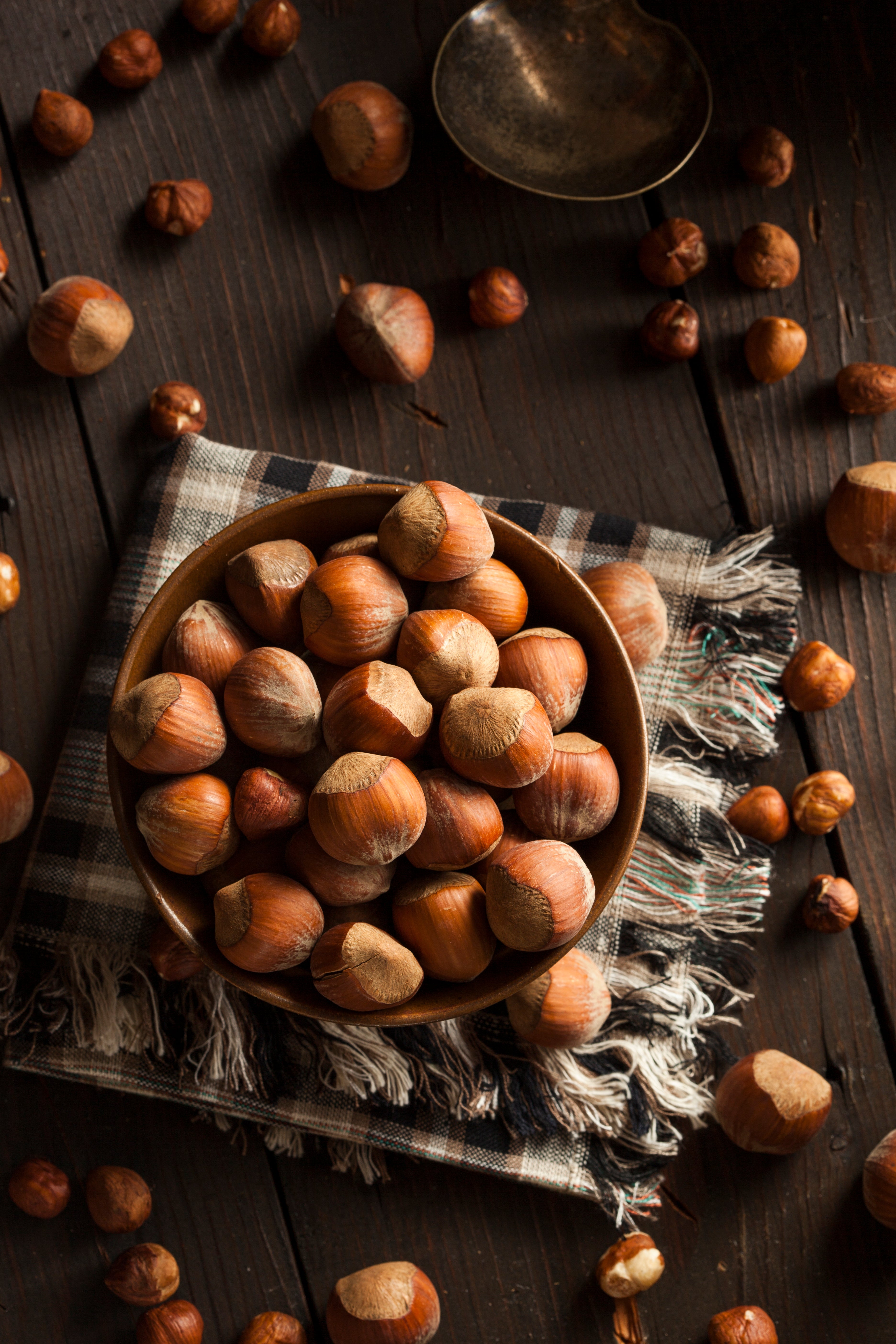 Hazelnut Best Price / Premium